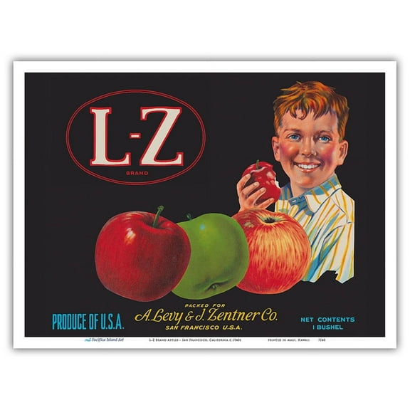 L-Z Brand Apples - San Francisco California - Vintage Fruit Crate Label c.1940s - Master Art Print (Unframed) 9in x 12in