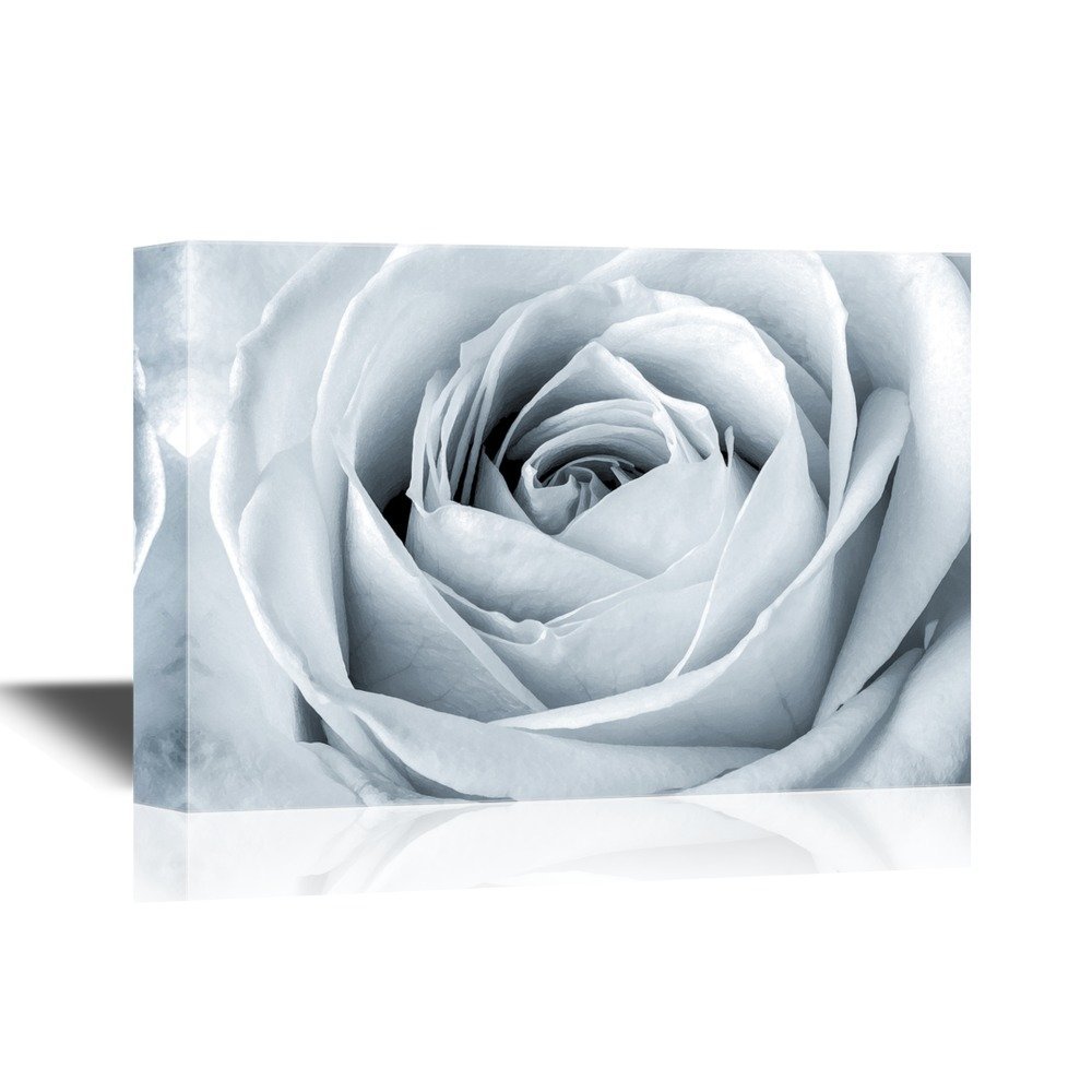 Wall26 Floral Canvas Wall Art White Rose Close Up Gallery Wrap