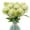 White 15Pcs/pack, variant on 15 Pcs Dandelion Artificial Flowers Plants Bouquet Plastic Flower for Home Decoration/Wedding Decor (Yellow)