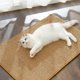 thumbnail image 5 of Horizontal Sisal Cat Scratching Mat Scratch-proof Protective Sofa Pad for Home Indoor, 5 of 5