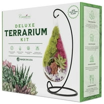 Creations by Nathalie - 7" Teardrop Glass Succulent Terrarium Kit for Kids and Adults, Reindeer Moss, Crystal & Rocks, Tools, Figurine, Metal Hanger (Live Plant Included)