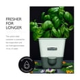 thumbnail image 4 of Cole & Mason Self-Watering Potted Herb Keeper, 4 of 7
