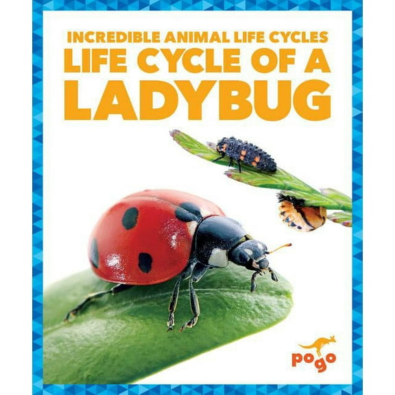 Incredible Animal Life Cycles: Life Cycle of a Ladybug (Hardcover)