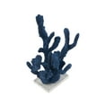 thumbnail image 6 of 10" x 13" Blue Polystone Textured Porous Coral Sculpture with Acrylic Base, by DecMode, 6 of 9