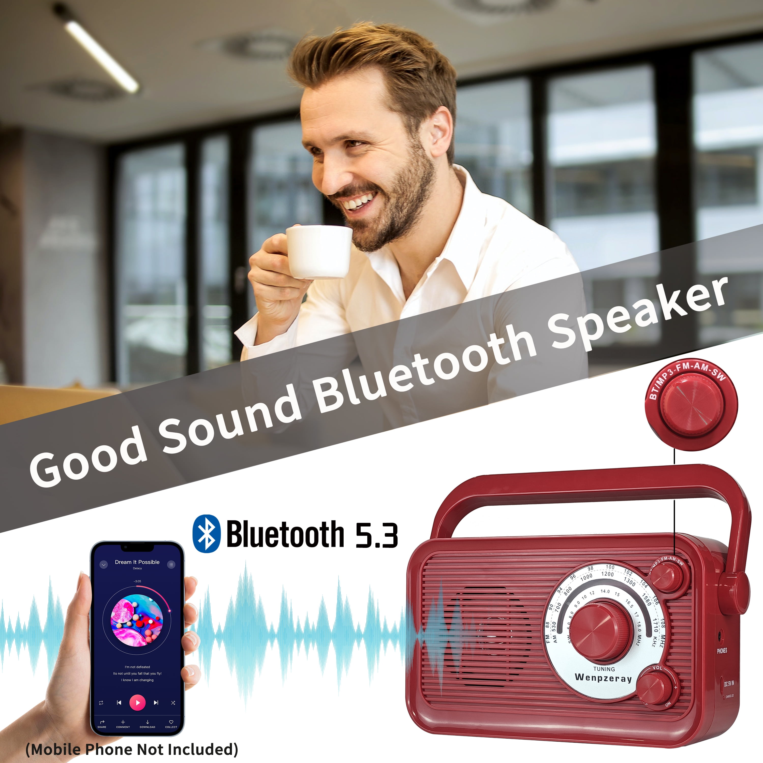 Camping Emergency AM FM Shortwave Radio, DSP Chip Bluetooth Speaker, Type-C Charging Retro Portable Radio Wenpzeray D218 (Red)