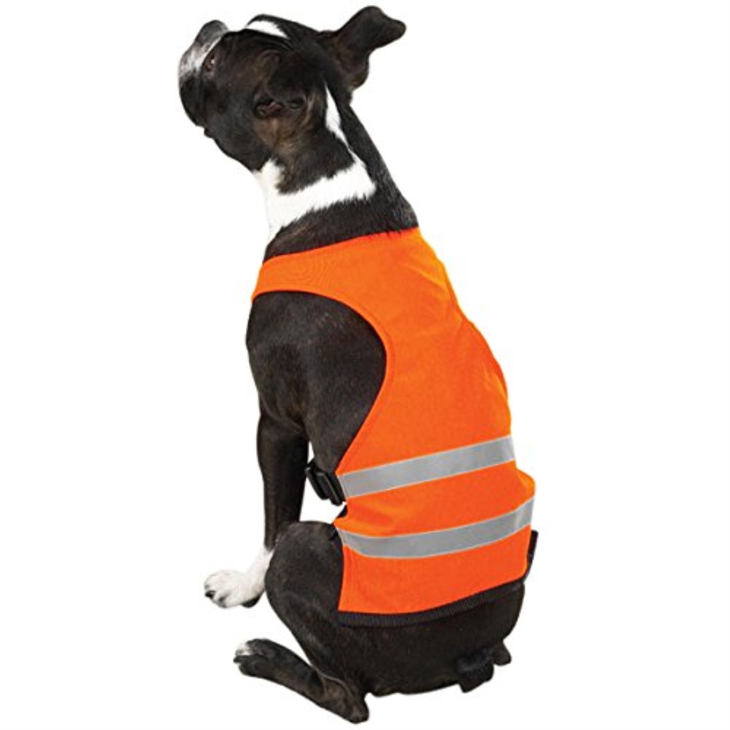 guardian gear safety vest for dogs, 8" xs, orange