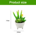 thumbnail image 2 of 2 uds simulación de flores falsas suculentas bonsái pequeños adornos creativos plantas verdes artificiales, 2 of 5