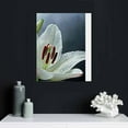 thumbnail image 5 of Nawypu Wall Art White Madonna Lily and Stone in Water Painting The Picture Print On Canvas Flower Pictures for Home Decor Decoration Gift Piece (Stretched Ready to Hang), 5 of 5