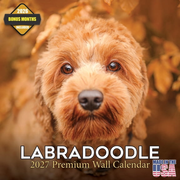MegaCalendars 2026-2027 Labradoodle Wall Calendar, 12x12 Bonus Month Monthly Planner, Made in USA