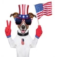 thumbnail image 3 of 4th of July Duvet Cover Set, Funny Pet Dog with an Uncle Sam Hat Holding a Peace Sign and an American Flag, Decorative 2 Piece Bedding Set with 1 Pillow Shams, Twin Size, Multicolor, by Ambesonne, 3 of 3