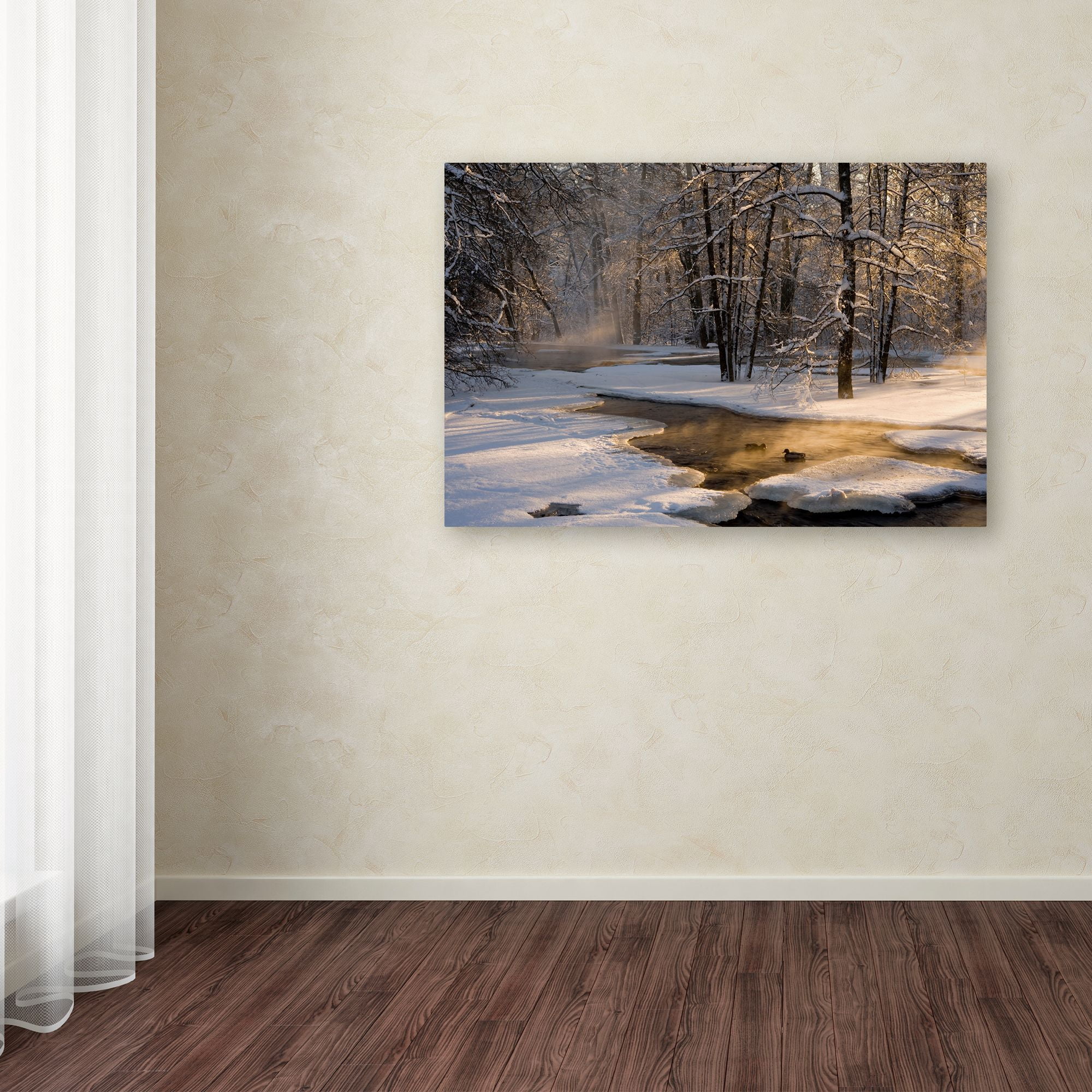 Trademark Fine Art 'The First Light' Canvas Art by Robin Eriksson