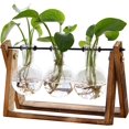 thumbnail image 1 of Estación de propagación de Plantas, Terrario con Soporte Madera Jarrón Hidropónica Florero Cristal, Jarrones Vidrio Macetas con Bombillas para Decoración, 1 of 4