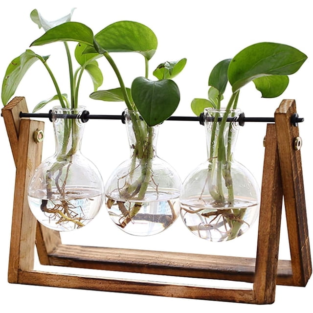 Estación de propagación de Plantas, Terrario con Soporte Madera Jarrón Hidropónica Florero Cristal, Jarrones Vidrio Macetas con Bombillas para Decoración