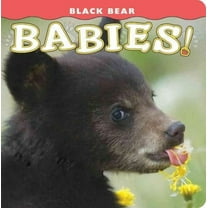Black Bear Babies! (Board Book)