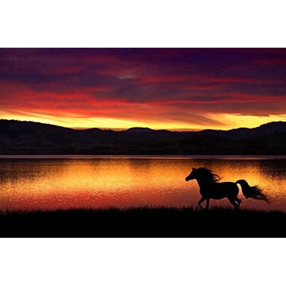 Horse at Sunset Edible Image Icing Cake Topper for Quarter Sheet Cake, by TNCT