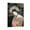 Frame-style, variant on Yumihiko Amano Japan Painter Poster Painting Artworks Canvas Poster Room Aesthetic Wall Art Prints Home Modern Decor Gifts 24x36inch(60x90cm)