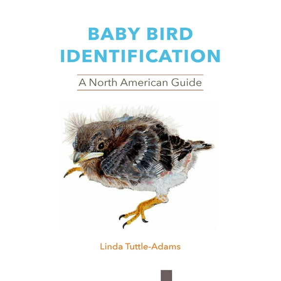 Baby Bird Identification: A North American Guide, (Paperback)