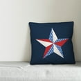thumbnail image 2 of Creative Products Patriotic Star 16x16 Indoor / Outdoor Pillow, 2 of 2