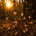 thumbnail image 4 of Halloween Pinecone Acorn String Lights, LED Battery Operated Decorative Lights for Indoor Outdoor Party Decor, Autumn Holiday Home Scene Lighting, 4 of 7