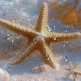 thumbnail image 5 of Patifu Starfish Sea Life Beach Shower Curtain 100% Polyester with Hooks 69"x72, 5 of 7