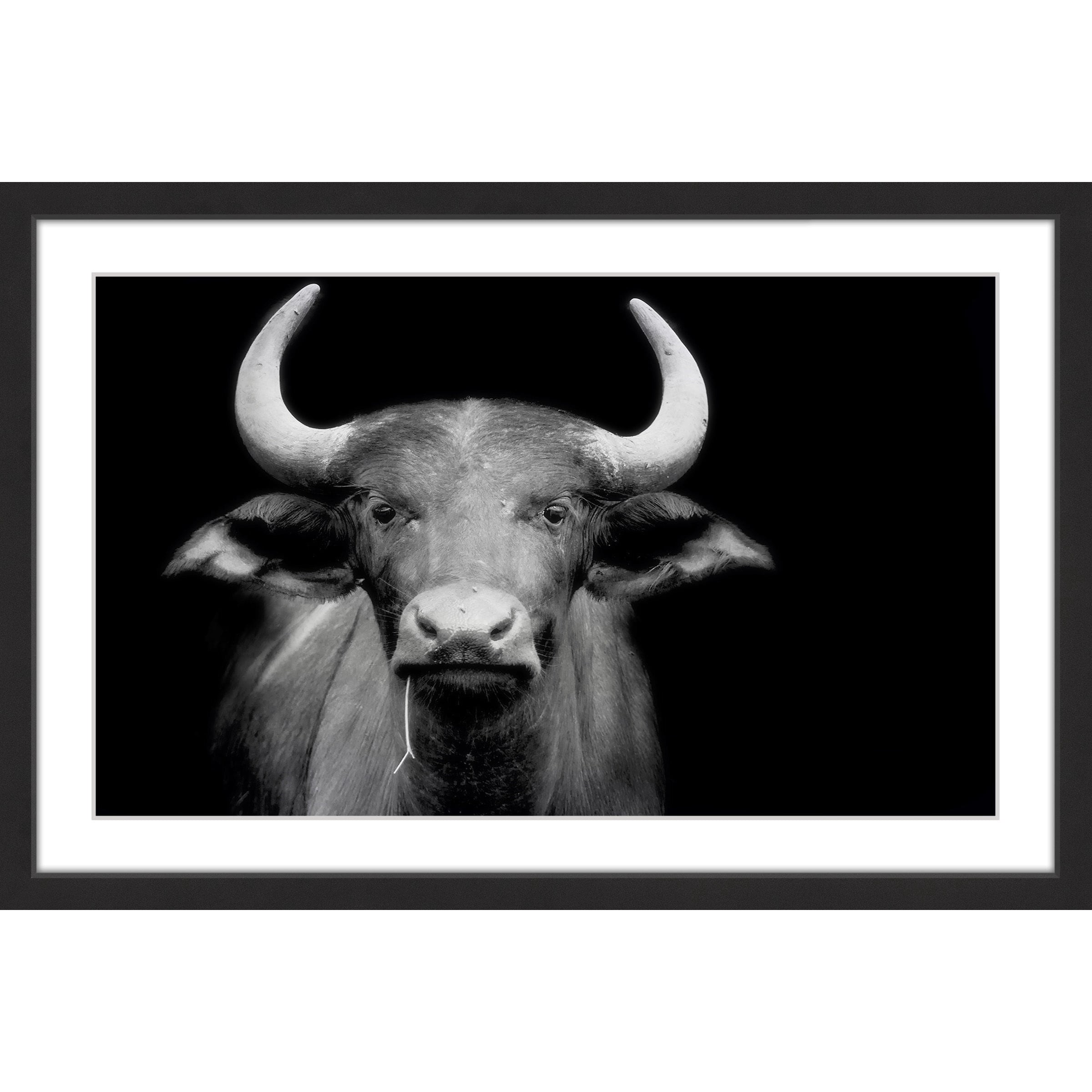 Marmont Hill "Cow Stare" Framed Painting Print