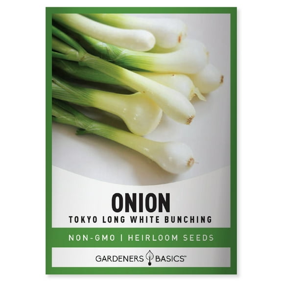Tokyo Long White Bunching Onion Seeds
