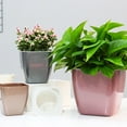 thumbnail image 3 of Shenmeida Self Watering Planter African Violet Pots Plastic Flower Plant Pot with Wick Rope for All House Plants, Flowers, Herbs, 3 of 7