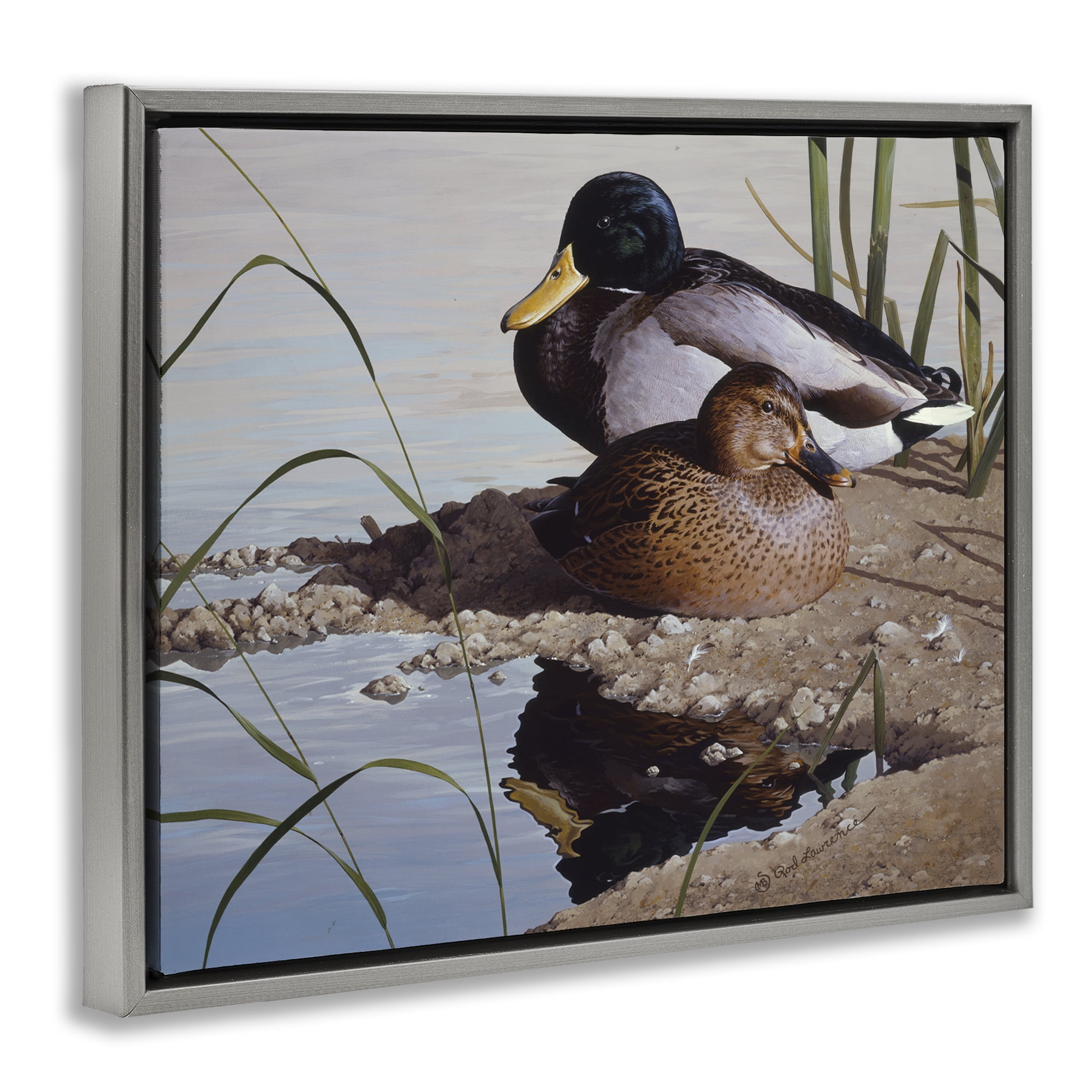 Stupell Industries Two Ducks Water's Edge Animals Painting Gray Floater Framed Canvas Art Print Wall Art, 31 x 25