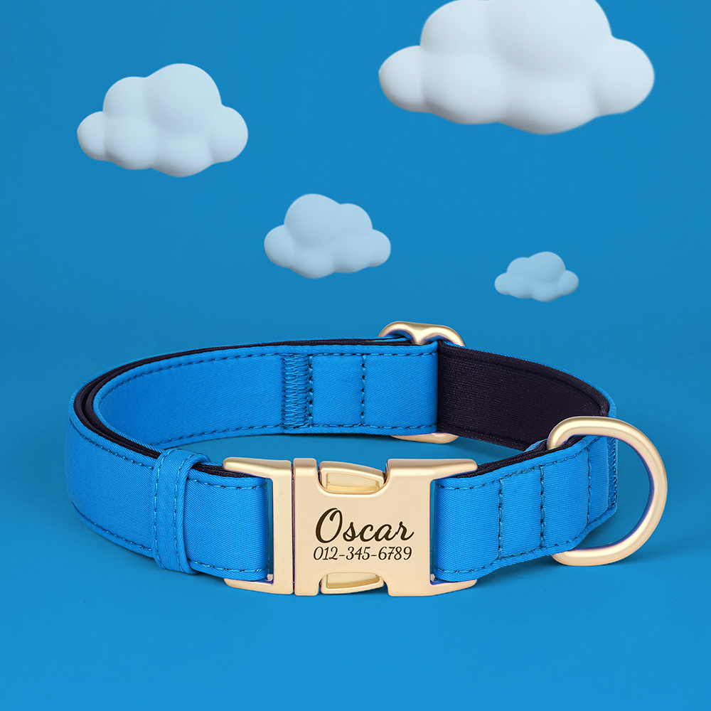 Pet Artist Personalized Waterproof Dog Collar photo 4