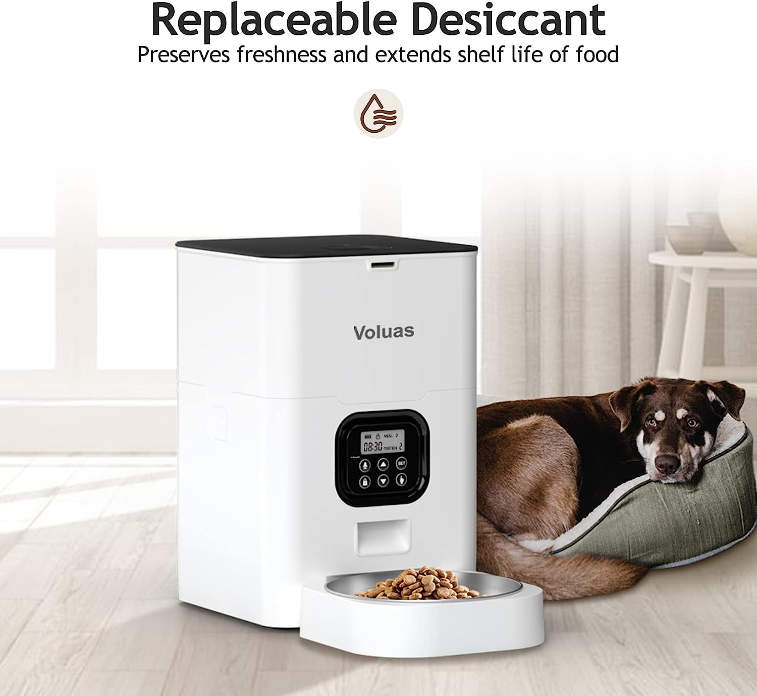 VOLUAS Automatic Cat Feeder with Voice Recorder and Timer for Cats and Dogs, 4L Large Capacity Dry Food Dispenser with Programmable Portion Control and LCD Display