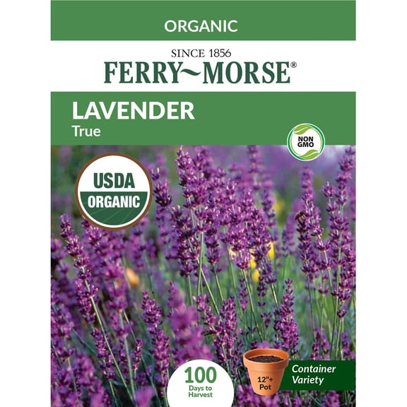 Ferry-Morse Organic 100MG Lavender Perennial Herb Seeds, Full Sun