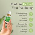 thumbnail image 3 of Pranarom - Aromaforce Immune Defense Solution - Eucalyptus, Rosemary, Peppermint, Corriander, and Clove Bud - 100% Pure Essential Oil Blend | USDA and ECOCERT Certified Organic (30ml), 3 of 4