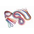 thumbnail image 2 of Alvalley Nylon Snap Leads, 2 of 3