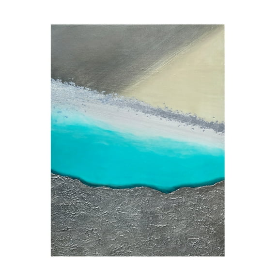 Trademark Fine Art Alyson Storms  Desert Oasis 2 Canvas Wall Art