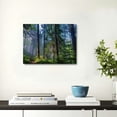 thumbnail image 5 of Pratyus Tall Trees Canvas Prints Wall Art Decor for Home Living Room Bedroom Kitchen Bathroom Office Salon Condo - Ready To Hang Room Art Decor 20x16in, 5 of 6