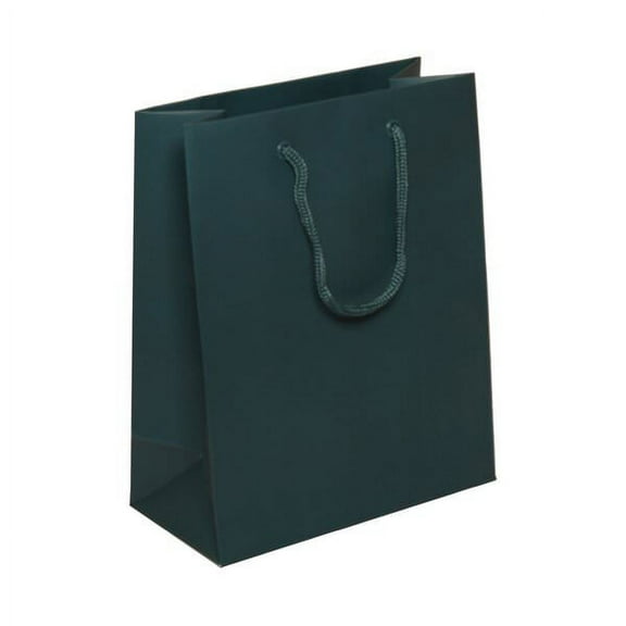 JAM Matte Gift Bag, 8 x 10 x 4, Dark Teal, 1/Pack, Medium
