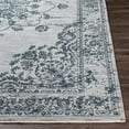 thumbnail image 3 of Hauteloom Wandina Living Room, Bedroom Area Rug - Traditional - 7'10" x 10'2", 3 of 12
