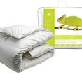 thumbnail image 1 of Canadian Down & Feather Company Regular Weight Hutterite White Down Duvet(KING), 1 of 3