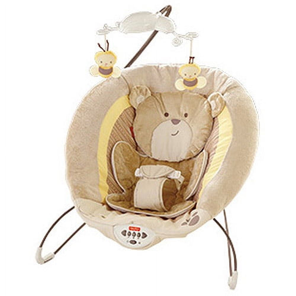 Fisher price my little snuggle sales bear swing