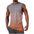 thumbnail image 3 of AnuYalue Men's Striped Tank Top Summer Casual Sleeveless Fitness Tee Shirts Lightweight Outdoor Running Undershirts, 3 of 6