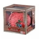 thumbnail image 1 of One Piece Card Game: Devil Fruit Collection Vol. 3 (DF-03) - 3 Packs, Deck Box, 1 of 3
