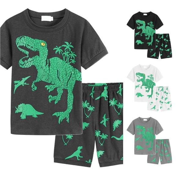 HCYSFG Boys Dinosaur Graphic Outfit Sets 2 Piece Crewneck Short Sleeve Clothing Sets T Shirt And Shorts Elastic Waist Matching Sets