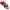 Multicolor, variant on LYEAA Women Bras Plus Size Packs of 5 Soft Comfortable Bras Wireless Breathable Everyday Bra for Womens All Coverage Bralette Fashion Solid Push up Bra Style with Adjustable Straps