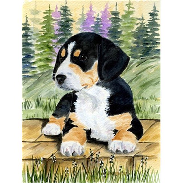 Carolines Treasures SS8132CHF Entlebucher Mountain Dog Flag Canvas - House Size