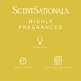 thumbnail image 4 of Cubes de cire parfumée ScentSationals - Frozen Lemonade, 4 of 5