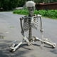 thumbnail image 5 of Esqueleto de Halloween Fiudx accesorio humano de tamaño completo calavera mano cuerpo, 5 of 7