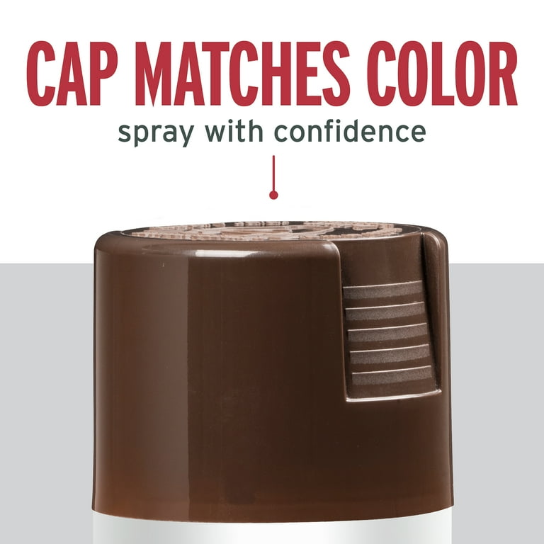 Rustoleum leather deals spray paint