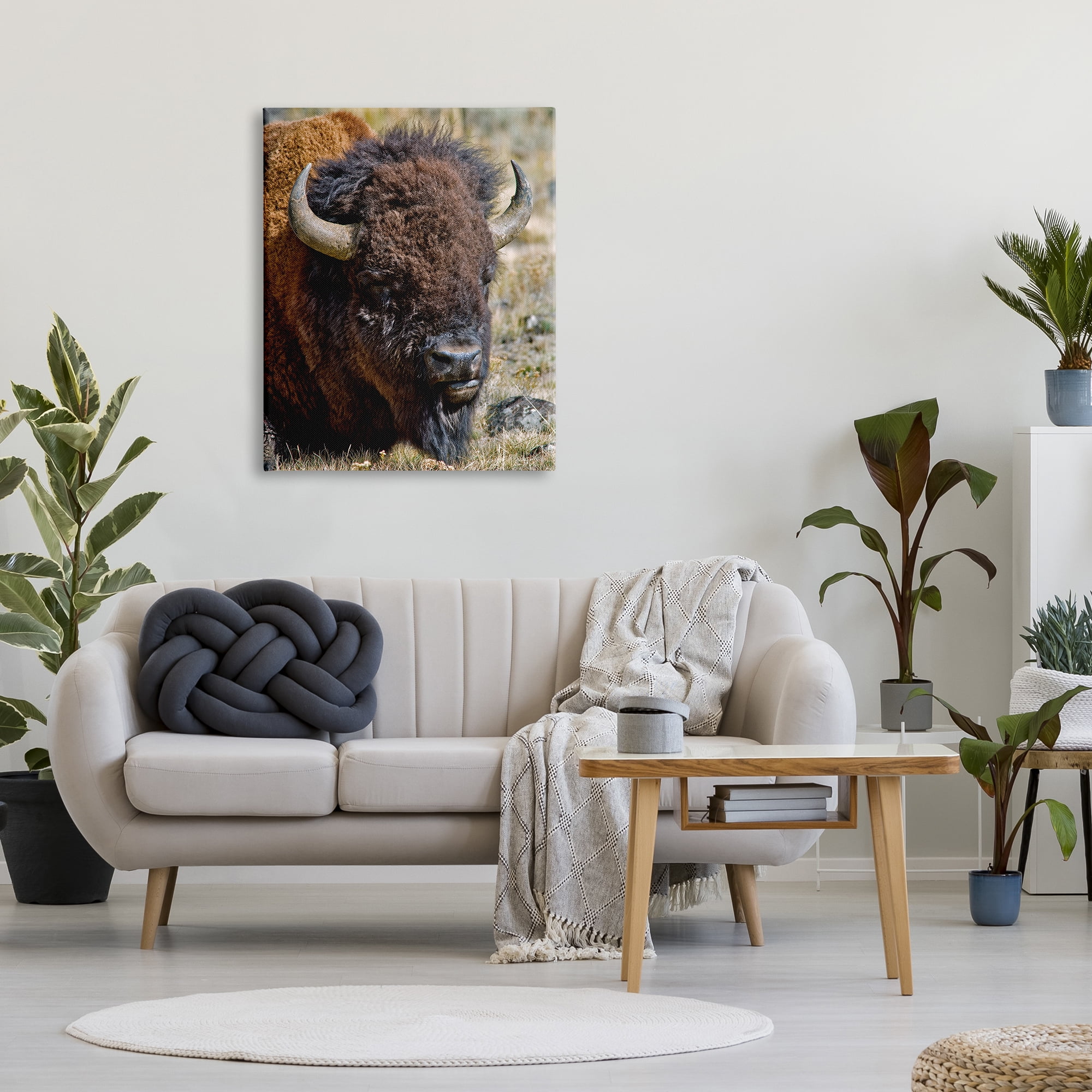 Stupell Industries Bison Resting Photography Animals & Insects Photography Gallery Wrapped Canvas Print Wall Art, 30 x 40