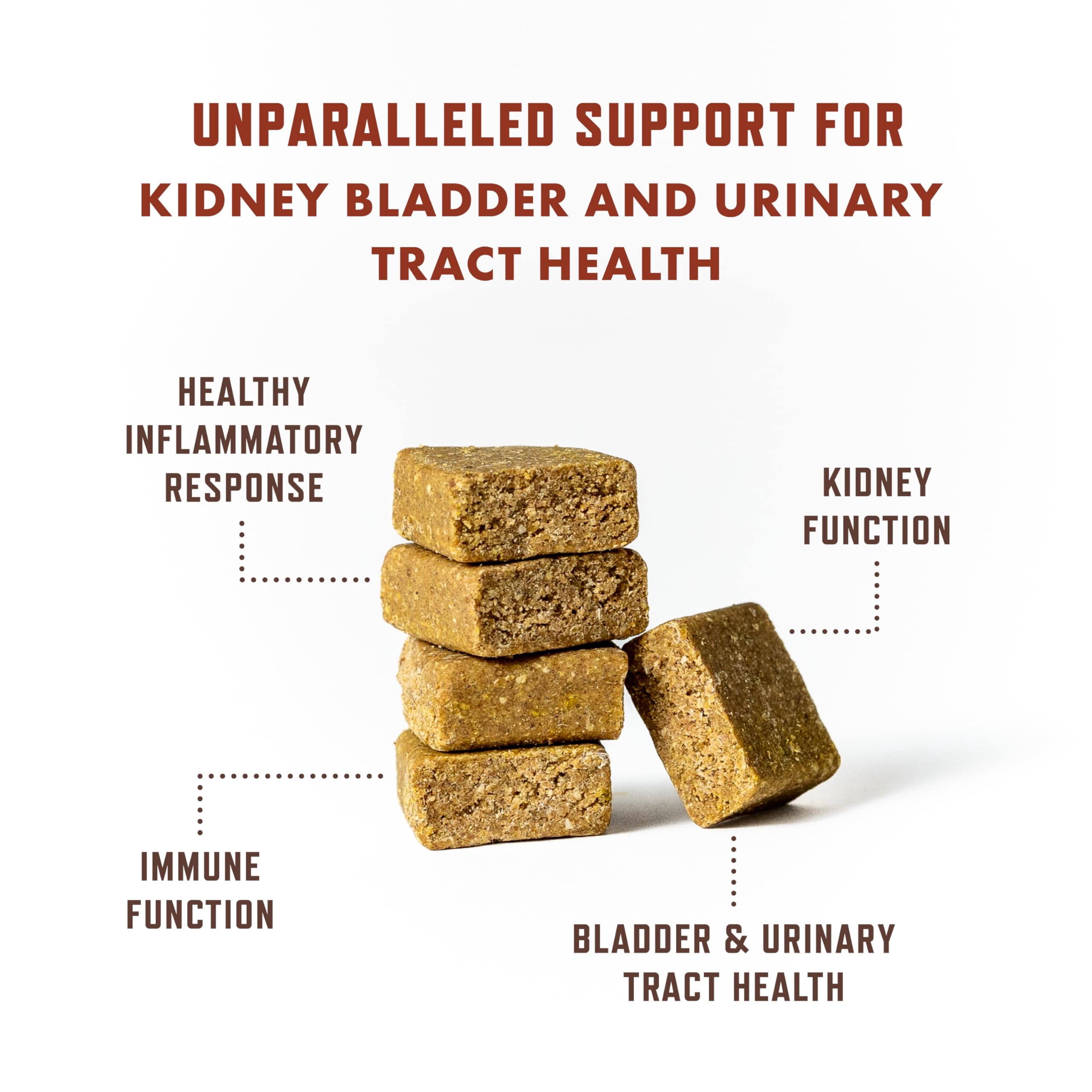 Rocco and Roxie Dog UTI Treatment, Cranberry Supplement for Dogs, Bladder Control, Urinary Tract Support with D-Mannose and Tart Cherry, Incontinence Health Supplements, Dog Treat Soft Chews 60 ct