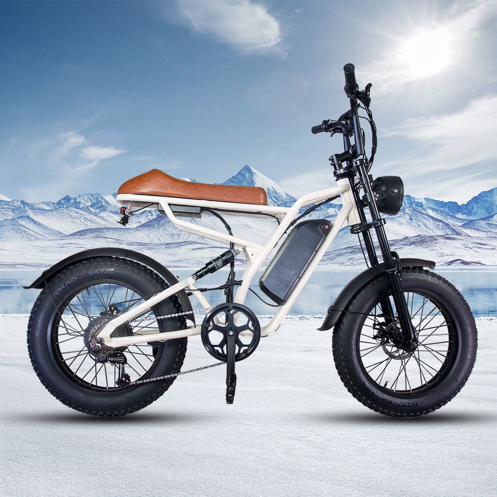 750W Electric Bike for Adults 20X4.0 Fat Tire Off-Road E bike Mountain Bike for Outdoor Cycling